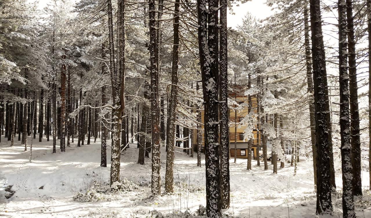 Zlatibor Wood 아파트 외부 사진