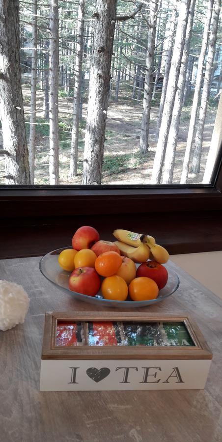 Zlatibor Wood 아파트 외부 사진