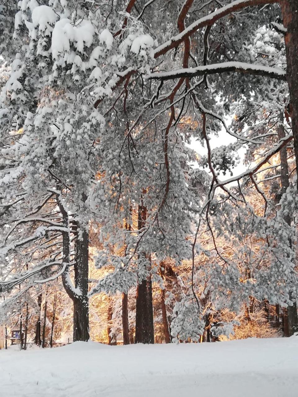 Zlatibor Wood 아파트 외부 사진