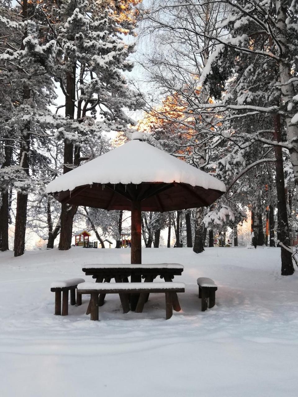 Zlatibor Wood 아파트 외부 사진